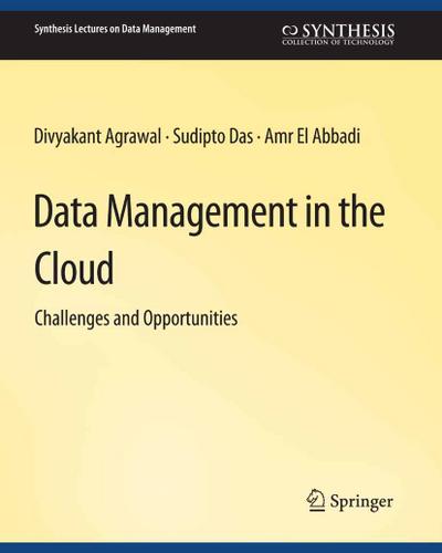 Data Management in the Cloud