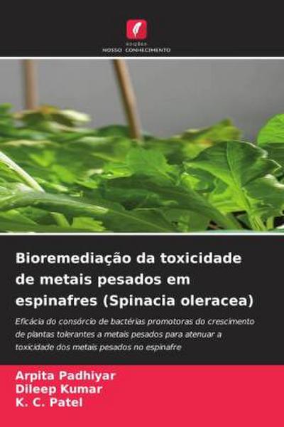 Bioremediação da toxicidade de metais pesados em espinafres (Spinacia oleracea)