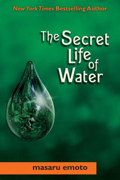 Secret Life of Water - Masaru Emoto