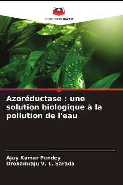 Azoréductase : une solution biologique à la pollution de l’eau