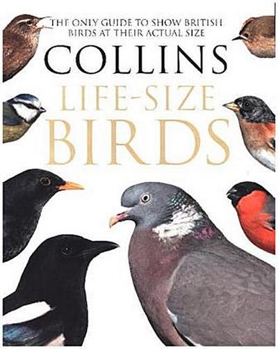 Collins Life-Size Birds