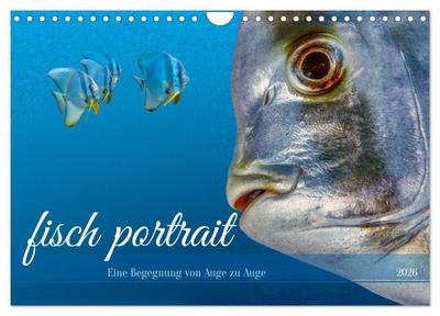 fisch portrait (Wandkalender 2026 DIN A4 quer), CALVENDO Monatskalender