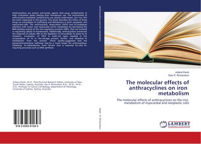 The molecular effects of anthracyclines on iron metabolism