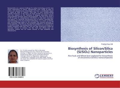Biosynthesis of Silicon/Silica (Si/SiO) Nanoparticles