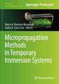 Micropropagation Methods in Temporary Immersion Systems