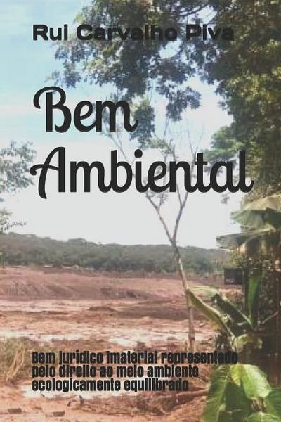 Bem Ambiental: Bem Jurídico Imaterial Representado Pelo Direito Ao Meio Ambiente Ecologicamente Equilibrado