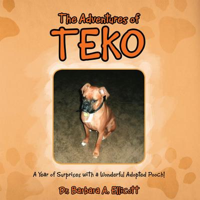 The Adventures of Teko