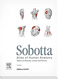 Sobotta Tabellen Holland: Tables to 15th ed. of the Sobotta Atlas