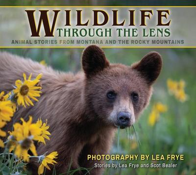 Wildlife Through the Lens