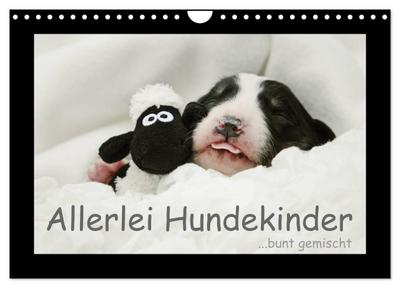 Allerlei Hundekinder (Wandkalender 2024 DIN A4 quer), CALVENDO Monatskalender