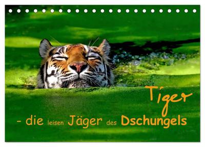 Tiger - die leisen Jäger des Dschungels (Tischkalender 2024 DIN A5 quer), CALVENDO Monatskalender