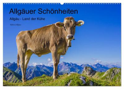 Allgäuer Schönheiten Allgäu - Land der Kühe (Wandkalender 2026 DIN A2 quer), CALVENDO Monatskalender