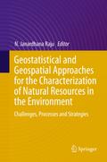 Geostatistical and Geospatial Approaches for the C