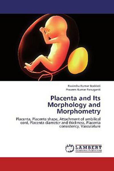 Placenta and Its Morphology and Morphometry