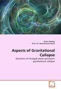 Aspects of Gravitational Collapse