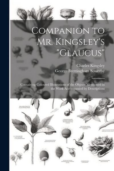 Companion to Mr. Kingsley’s "Glaucus"