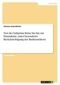 Von der Subprime-Krise bis hin zur Finanzkrise, unter besonderer Berücksichtigung des Bankensektors