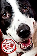Boy’s Best Friend