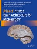 Atlas of Intrinsic Brain Architecture for Microsurgery