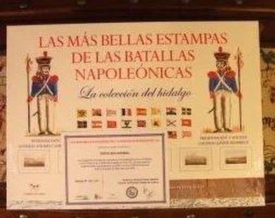 Las más bellas estampas de las batallas napoleónicas : la colección del hidalgo