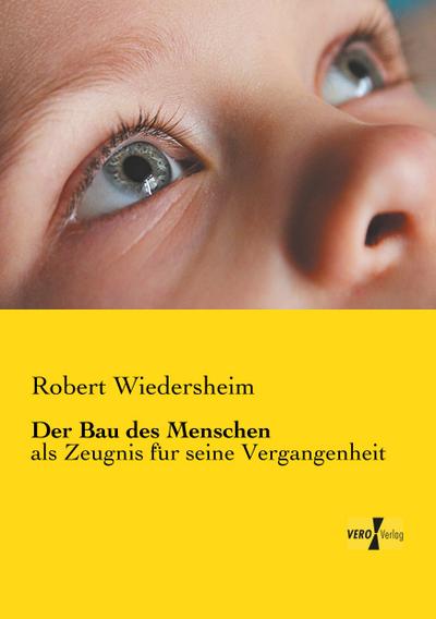 Der Bau des Menschen