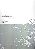 Concerto Borealisfor Bass Trombone and Orchestra