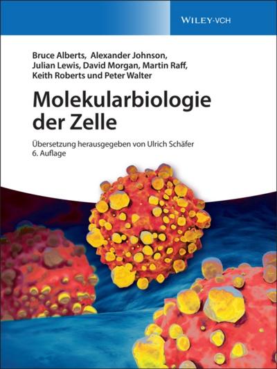 Molekularbiologie der Zelle