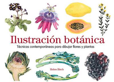 Ilustración Botánica: Técnicas Contemporáneas Para Dibujar Flores Y Plantas