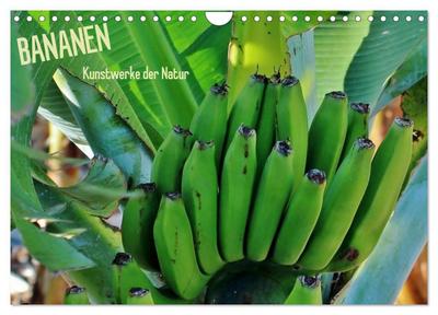 Bananen (Wandkalender 2025 DIN A4 quer), CALVENDO Monatskalender