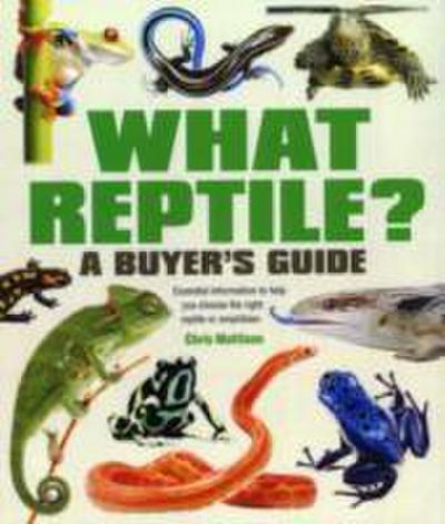 Mattison, C: What Reptile? A Buyer’s Guide