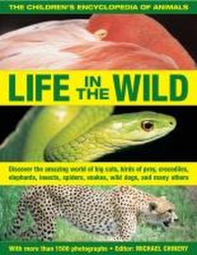 The Children’s Encyclopedia of Animals: Life in the Wild