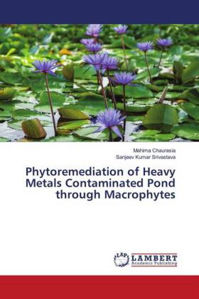 Phytoremediation of Heavy Metals Contaminated Pond through Macrophytes