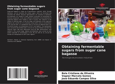 Obtaining fermentable sugars from sugar cane bagasse