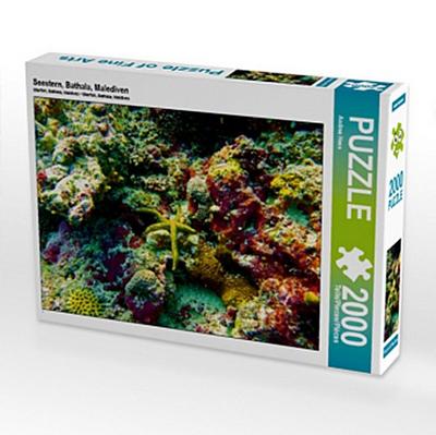 Seestern, Bathala, Malediven (Puzzle)
