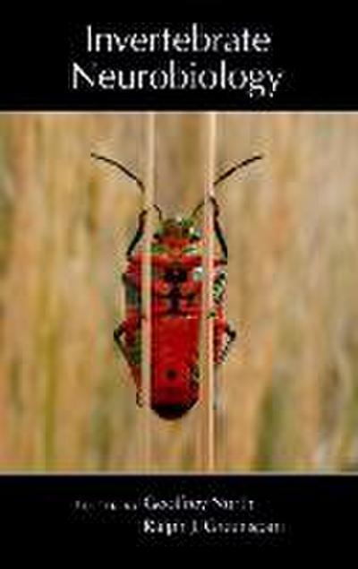 Invertebrate Neurobiology