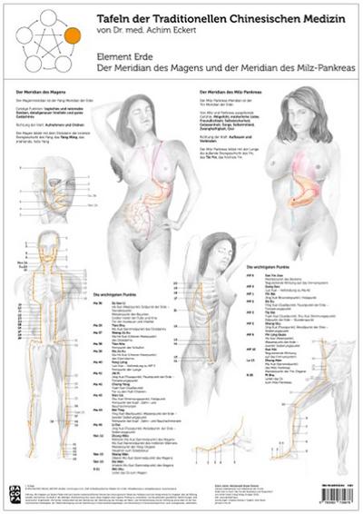 Tao Training Meridiantafel Erde Element