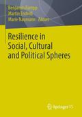 Resilience in Social, Cultural and Political Spher