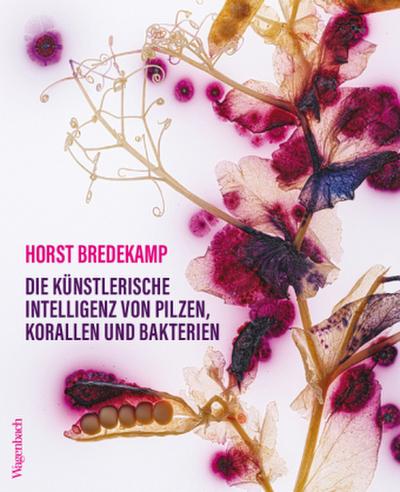 Die künstlerische Intelligenz von Pilzen, Korallen und Bakterien