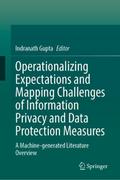 Operationalizing Expectations and Mapping Challenges of Information Privacy and Data Protection Measures