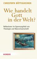 Gottes Handeln in der Welt