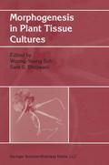 Morphogenesis in Plant Tissue Cultures