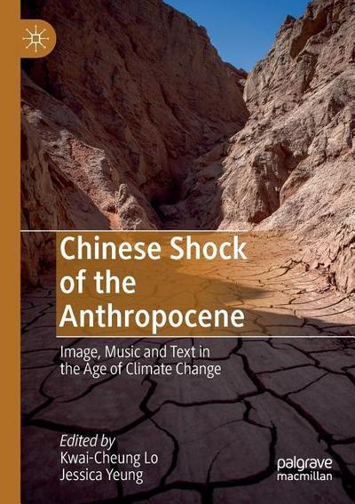 Chinese Shock of the Anthropocene