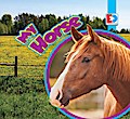 My Horse