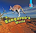 A Kangaroo’s World
