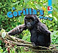 A Gorilla’s World
