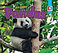 All About Pandas