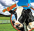 My Cow
