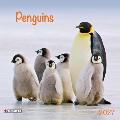 Penguins 2027