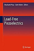 Lead-Free Piezoelectrics