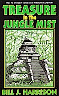 Treasure in the Jungle Mist